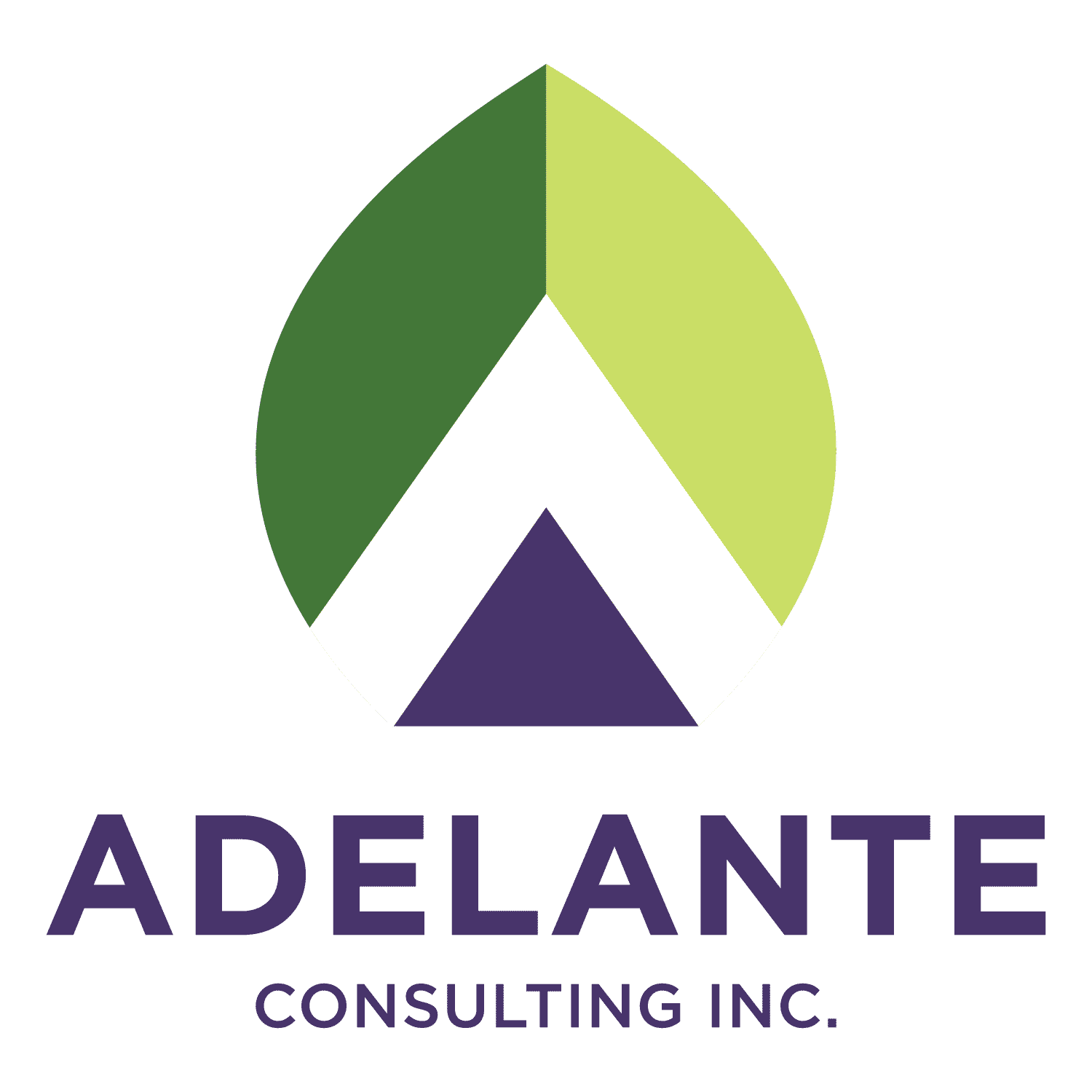 AdelanteConsultingInc_Logo_FullColor