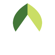 Adelante Consulting logo